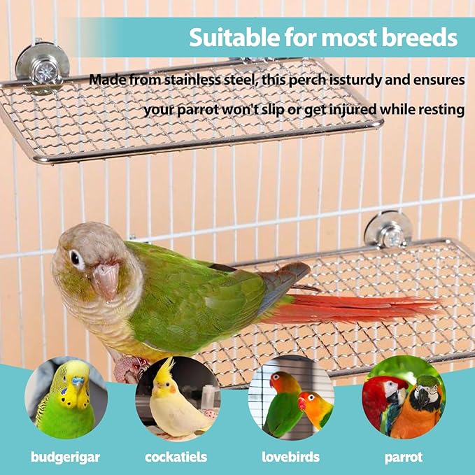 Bird Perches Platform, Stainless Steel Bird Perch Stand,Bird Cage Accessories Exercise Platform for Small to Large Parrots(Rectangle,L+XL)