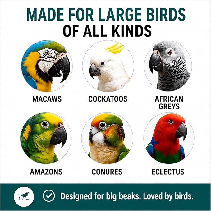 Bird Toys for Large Birds (Impossiball) Stainless Steel Foraging Treat Dispenser for Macaws, Cockatoos, Parakeets & Parrots | Durable Cage Accessory for Enrichment & Mental Stimulation