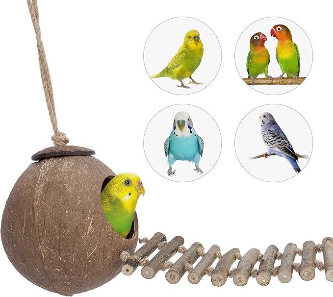 Niteangel Natural Coconut Hamster Hideaway with Ladder, Bird and Small Animal Toy (House with Ladder, Smooth Surface)