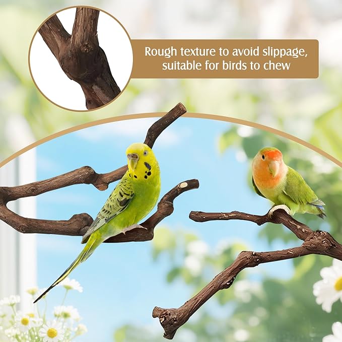 PINVNBY Natural Parrot Perch Grape Wood Bird Stand Pole Parakeet Paw Grinding Fork Chewable Climbing Branches Toy Bird Cage Accessories for Budgies Conures Cockatiels Lovebirds (2 PCS, 7.9IN)