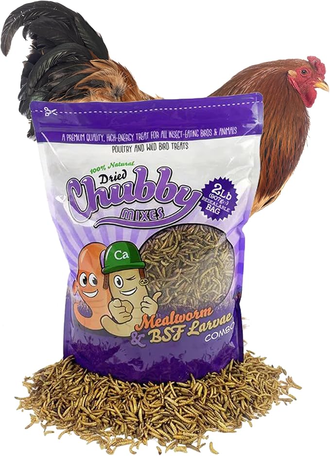 Chubby Mix Mealworm & Black Soldier Fly Larvae | 2 lbs | Non-GMO High-Protein Dried Insects for Chickens, Ducks & Wild Birds – Calcium-Rich Chicken Treats