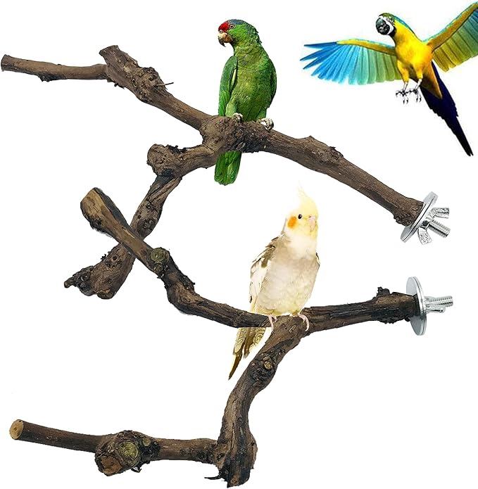 2 PCS Natural Grape Stick Fork Bird Perch Bird Standing Stick Chewing Bird Toys Natural Grapevine Bird Cage Perch for Parrot Cages Toy for Cockatiels, Parakeets, Finches