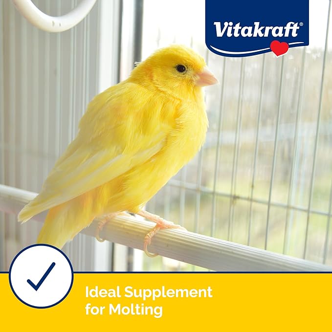 Vitakraft VitaSmart Egg Food for Birds - Daily Supplement for Parrots,Parakeets,Cockatiels,and Canaries - Bird Calcium Supplement 1.1 Pound,(Pack of 2)