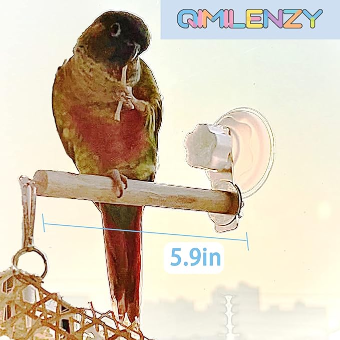 Bird Window/Bath/Car/Travel Perch Stand with Suction Cup for Small and Medium Bird Parrot Parakeet Cockatiel Conure Budgie Lovebirds (Simple Wood Perch)