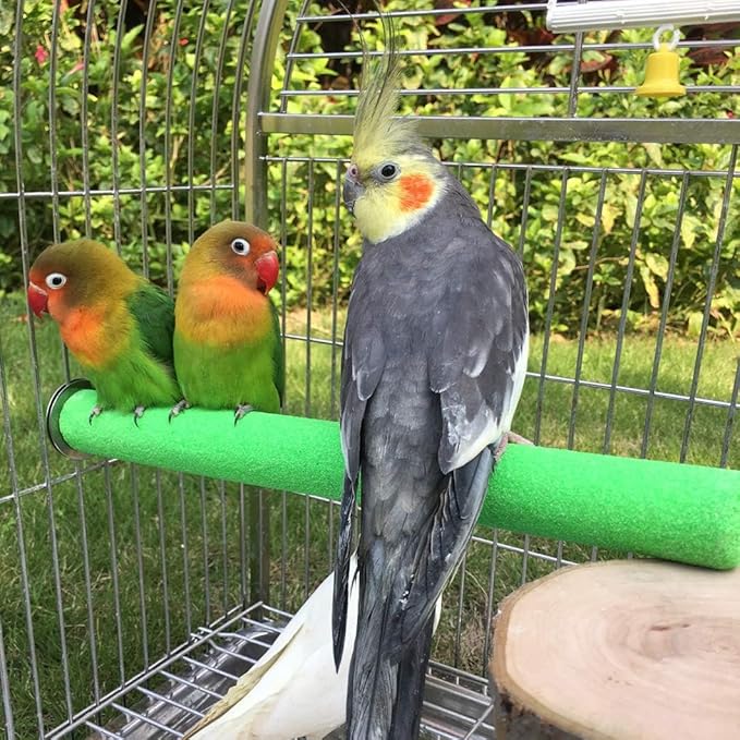 Bird Perch Rough-surfaced Nature Wood Stand Toy Branch for Parrots (Straight Perch, L)