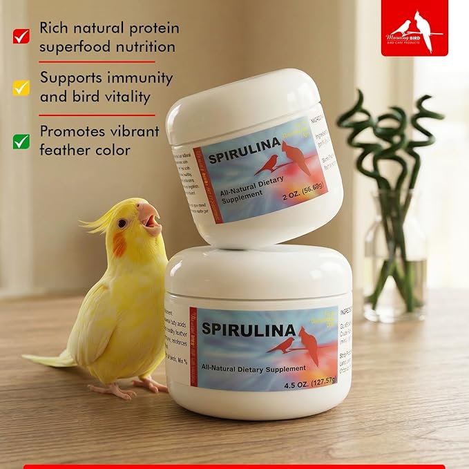 Morning Bird Spirulina 2 oz – Organic Superfood Supplement for Birds – Rich in Vitamins, Protein & Amino Acids – Ideal for Parakeets, Cockatiels, Budgies, Finches, Canaries & Parrots