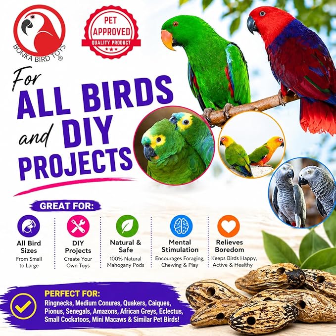Bonka Bird Toys 3410 Drilled Mahogany Pods Shreddable Foraging Bird Toy with Natural Materials Hanging Cage Toy 9" for Small to Medium Parrots Conure Cockatiel Budgie Chewing Enrichment (Pack of 6)