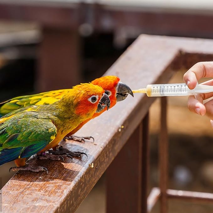 Baby Bird Feeding Syringe Set, Pet Parrot Milk Feeding Syringe with Tubes, Parrot Feeding Tubes Measuring Tools for Feeding Pets Scientific Industrial Labs… (12ml +20ml syringe+50ml Measuring Cup)