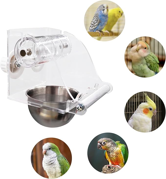Interactive Bird Feeder with Rolling Foraging Toy - Clear Acrylic Treat Dispenser & Stainless Steel Bowl for Small to Medium Birds | Cage-Mounted with Rust-Resistant Metal Perch