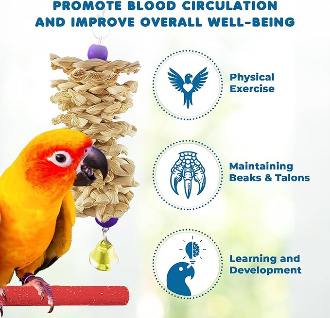 SunGrow Parrot Swing and Perch Bundle, Keep Birds from Hatching Plans for World Domination with Joyful Colorful Items for Love Birds, Conures, Cockatiels, Finches, Parakeets, 12 Pieces