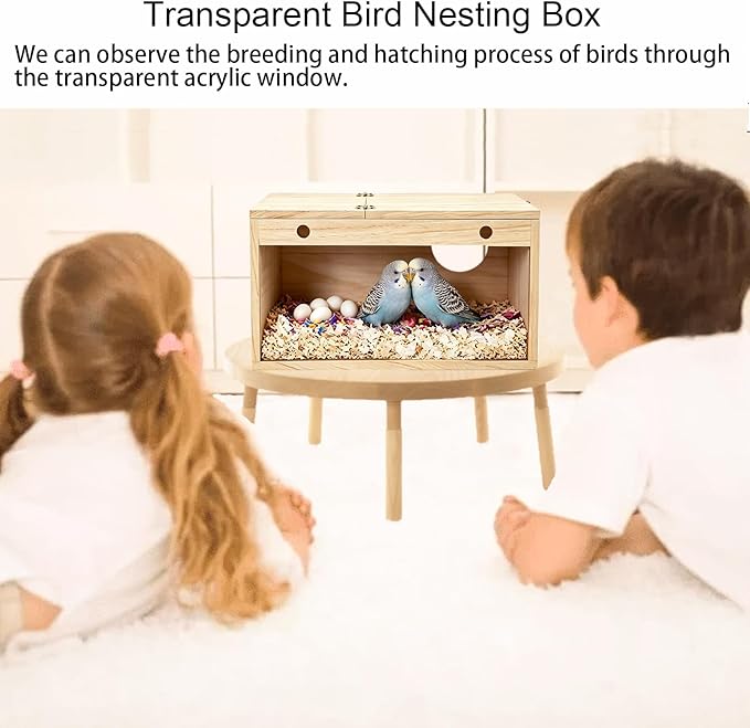 Tfwadmx Parakeet Nesting Box, Transparent Bird Nest Breeding Box, Wood Parrot Nest Box with Perch Bird Cage House for Cockatiel Lovebirds Budagie Canary Finch (M)
