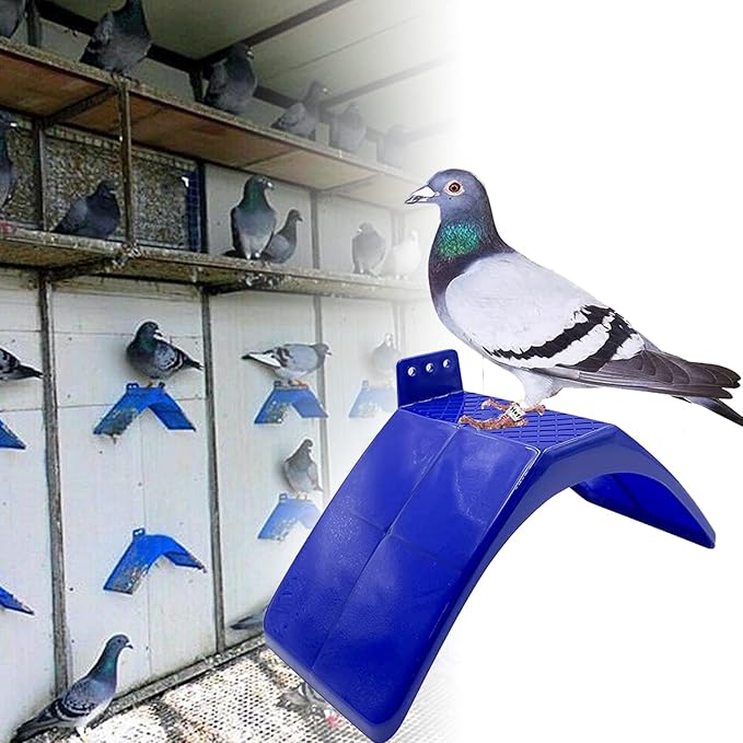 Pigeon Perch,Racing Pigeons Loft Perches Supplies,10PCS Lightweight Dove Rest Stand for Pigeon Homer and Birds