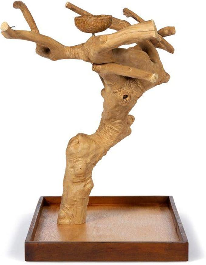 Coffeawood Tree Mini Table Top (Large)