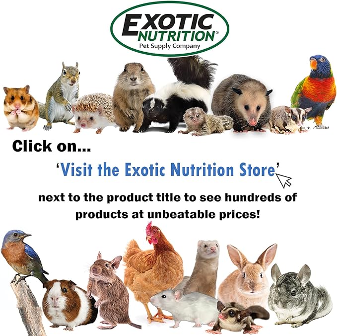 Exotic Nutrition Nap Nook - Unique Nest Pod Cage Accessory Toy - Use Grounded or Hanging - Sugar Gliders, Hamsters, Mice, Rats, Birds, Degus, Chinchillas, & Other Small Pets (Large)