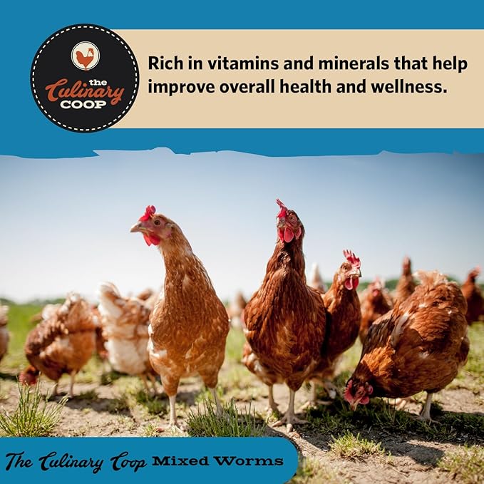 Fluker's Culinary Coop Bulk Dried Mealworms & Soldierworms, 5lbs-Premium Organic Non-GMO Dried Worm Mix for Chickens-High Protein & Omega 3 Chicken Feed for Wild Birds & Chicken Treats for Laying Hens
