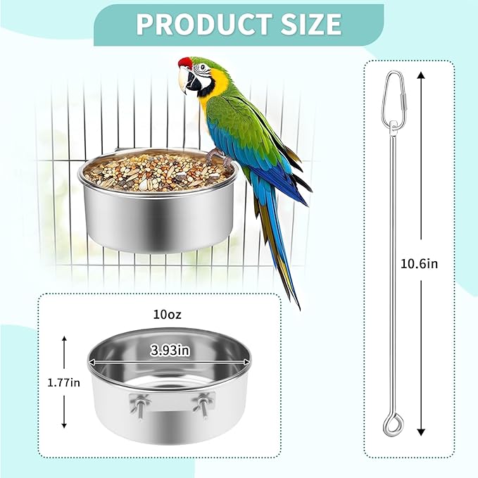 2 Pcs Bird Feeder Bowls with 3 Pcs Food Holder for Cage, Parrot Food Water Bowls and Fruit Skewer Foraging Toy, Stainless Steel Bird Feeding Dish Cups for Small Animals (Silvery, 5 Pcs)