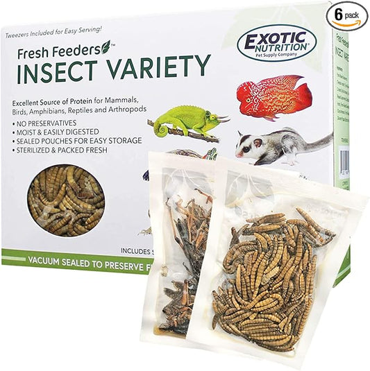 Fresh Feeders (Insect Variety) - All Natural High Protein Insect Treat - Single Serving Pouches - Chickens, Wild Birds, Hedgehogs, Bluebirds, Reptiles, Sugar Gliders, Opossums, Skunks, Lizards