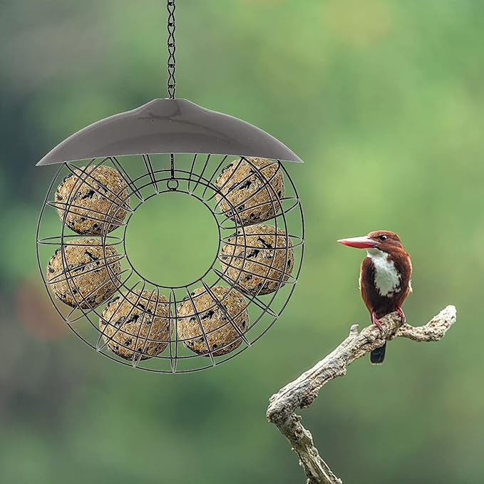 Fat Ball Stand, Fat Ball Feeder for Bird Feeder, Hanging Round Shape Metal, Food Ring Dispenser with Lid