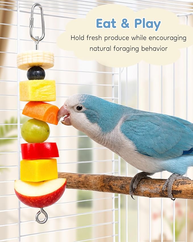 Pawfly 3 Pcs Stainless Steel Parrot Fruit Vegetable Skewer, 10 Inch/26 cm Hanging Bird Cage Food Holder with Hook, Bird Cage Feeder for Vegetable & Fruit, Bird Treat Skewer, Foraging Toy for Parakeets