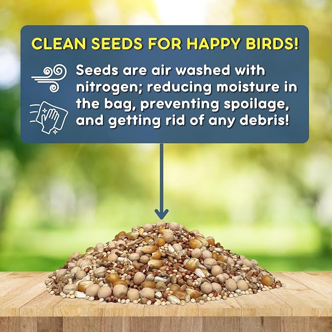 Brooks Brand Birds of a Feather Deluxe Dove Food, Pigeon Food, Mourning Dove Outdoor Bird Seed, Dove Bird Seed, Comida para Palomas, Made in USA, 8 lbs