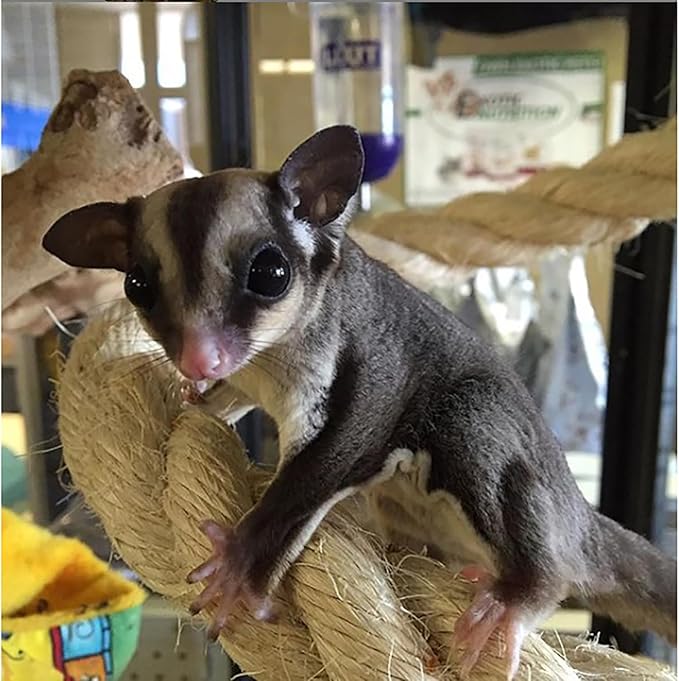 42 Inch Natural Rope (Thick) - Thick Flexible Bendable Climbing Rope Perch Cage Accessory Toy - Sugar Gliders, Squirrels, Degus, Marmosets, Monkeys, Parrots, Birds, Rats & Other Small Pets