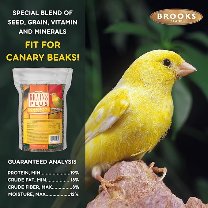 Brooks Brand Grains Plus Canary Blend, Canary Bird Food Seed, Seeds for Birds, Comida para Canarios, Alpiste para Pajaros (4 lbs)