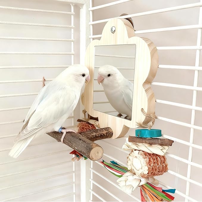Bird Mirror with Perch, Cockatiel Mirror for Cage, Parakeet Toys with Chew Toy,Bird Cage Accessories for Parrot Conure Lovebirds Finch Canaries (Corn Cob)