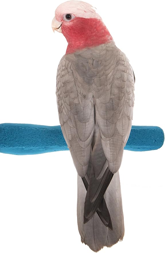 Sweet Feet and Beak Comfort Grip Safety Perch for Bird Cages - Pedicure Perch for Birds to Keep Nails and Beaks in Top Condition - Safe Easy to Install Bird Cage Accessories M 8.5" - Blue