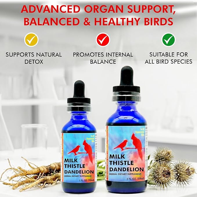 Morning Bird Milk Thistle & Dandelion Extract 2 fl oz – Organic Herbal Supplement for Birds – Supports Liver Health & Natural Detox – Suitable for All Bird Species