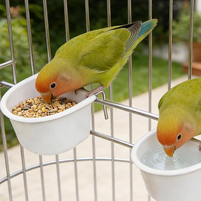 2Pcs Bird Dishes for Cage, Hanging Bird Food Water Bowl Cups Small Bird Feeder for Parakeet Lovebird Finch, Bird Cage Accessories