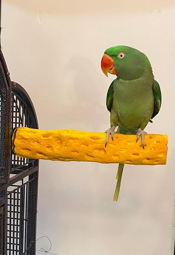 Polly's Beach Sands Nail Trimming Bird Cage Perch for Parakeets, Cockatiels, Amazons, Grays, Cockatoos, Macaws, eclectus and Many Other Birds (Large, Gold)