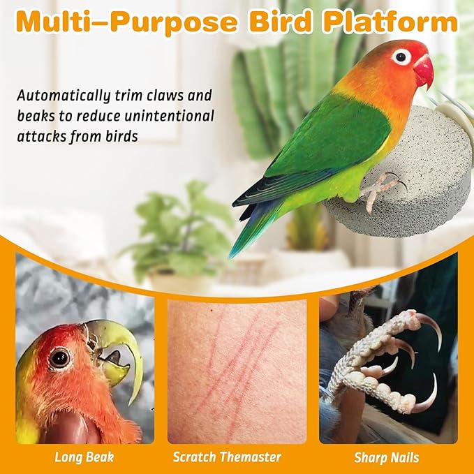 PINVNBY 8 PCS Bird Perch Parrot Beak Grinding Stone Calcium Mineral Parrot Perch Foot Claws Trimmer Chewing Toy Bird Cage Accessories for Small Medium Budgie Cockatiel Conure Lovebird (Lune)