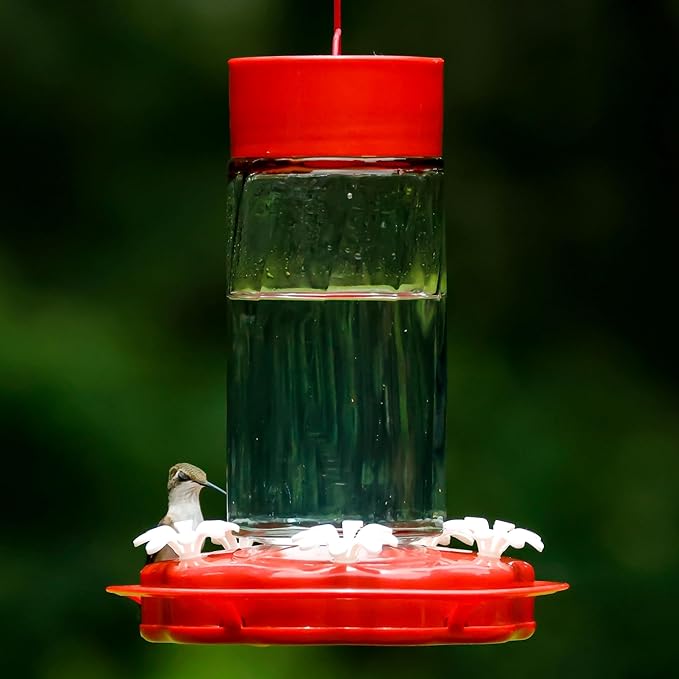 Nature's Way Hanging Glass Hummingbird Feeder for Outdoor Décor, 20 Ounce Capacity Nectar Feeder, Ant Moat, 5 Easy to Clean Flexible Ports, Red