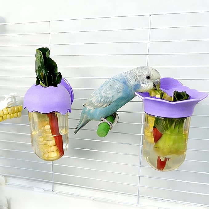 7 PCS Bird Cage Feeder for Vegetable Millet Holder Cage Accessories with Parrot Fruit Forks for Budgie Cockatiel Lovebirds Parrot (Purple)