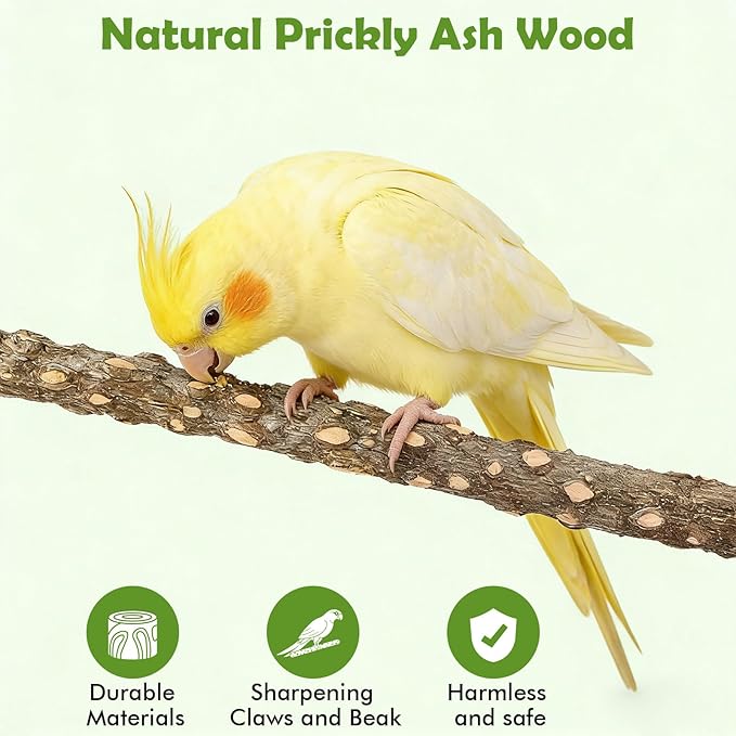 Bird Playground，Natural Wood Bird Perch Stand Parakeet Playground with Swing, Ladder & Feeder Cups，Birds Play Stand for Cockatiel Parakeet Lovebirds Conure