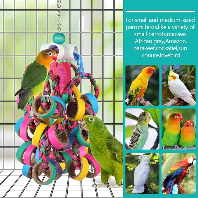 lovyoCoCo Bird Toys Conure Toys,Bird Parrot Foraging Shredder 24 Pcs Colorful Bagel Chewy Rings for Small Parrots Parakeets Conures Cockatiels Love Bird Cage Accessies (W)
