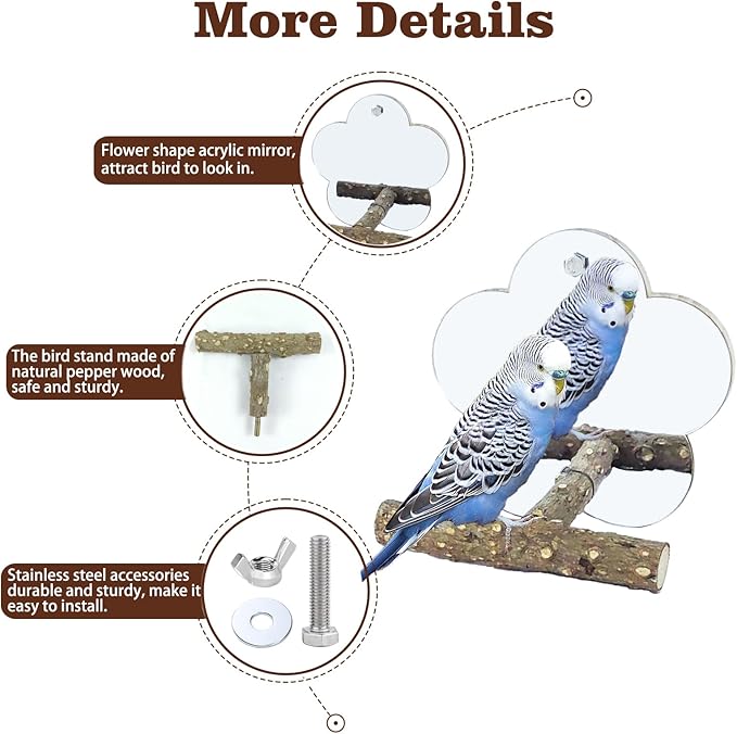 Bird Mirror with Perch Stand InteractiveToys Cage Accessories for Pet Parrot Budgies Cockatiels Conure Lovebird Finch Canaries and Other Small Birds (Flower Shape)