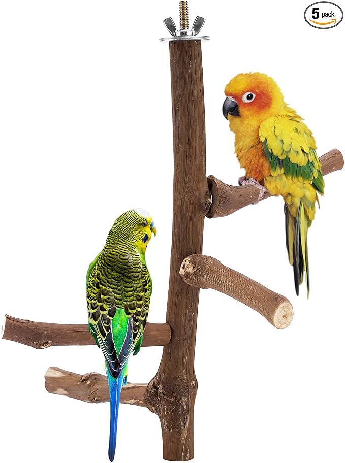 CozyCabin Natural Bird Perch Stand for Cage, Hanging Multi Branch Grapevine Parrot Perch Bird Cage Toys for Small Budgies Conure Parrot Parakeets Cockatiels Lovebirds