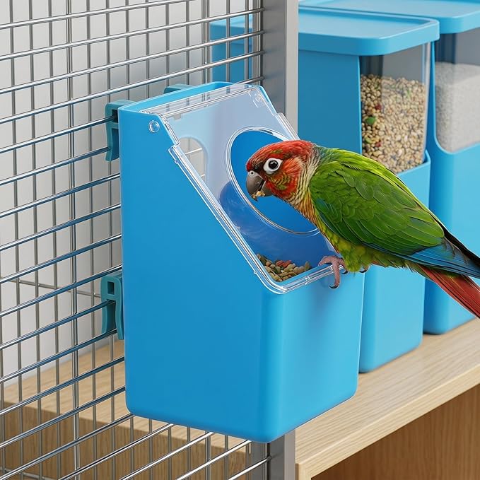 4pcs Pigeon Feeder Pigeon Supplies Cages Quail Cage Comederos Quail Feeder Outside para Water s Bird Bowl Parrot Suite Single Hole