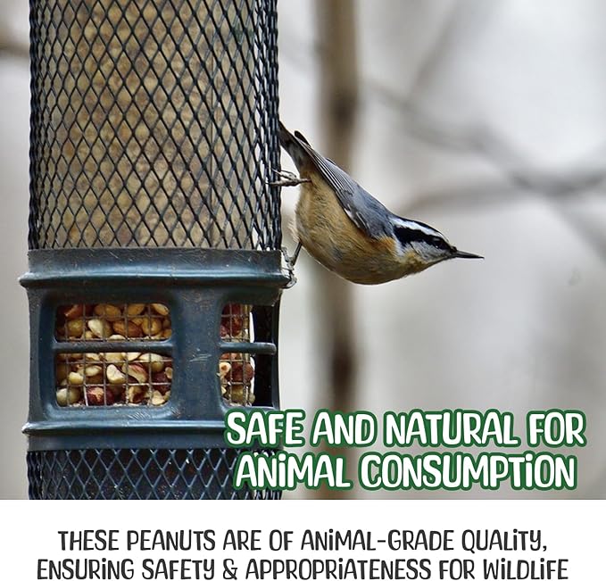 Sneaky Mango Raw Peanuts in Shell - 8 Pounds – All-Natural Food for Squirrels, Deer, Birds, and Other Wildlife Animals – Grown in the USA for Healthy Nutrition
