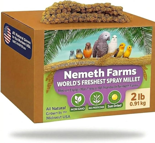Nemeth Farms Spray Millet - Edible Tops Only, Non-GMO and Sun-Dried - 2 lbs for Cockatiels, Lovebirds and Budgies