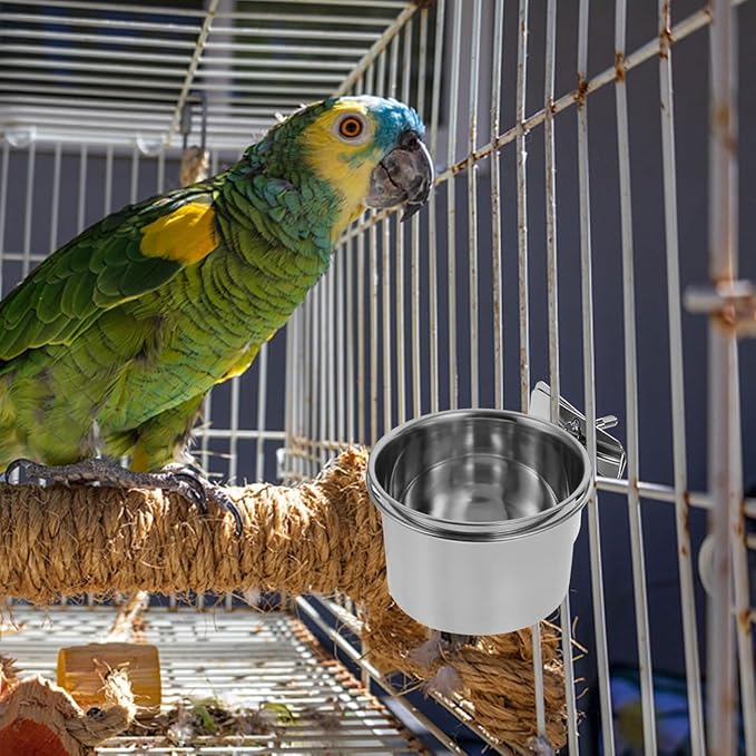BESPORTBLE Stainless Steel Large Parrot Feeder Bowl Hanging Food and Water Container for Macaw Cage Accessories Easy to Clean Durable