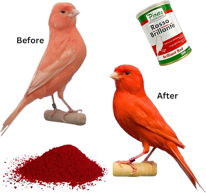 Pineta Rosso Brillante 200g Bird Food for Red Factor Canary and Finch – Canary Food to Enhances Feather Color, Ideal Comida para Pajaritos During Molting and Breeding Seasons