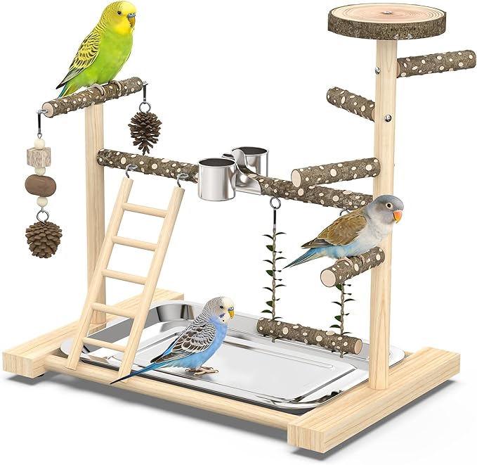 Bird Playground，Natural Wood Bird Perch Stand Parakeet Playground with Swing, Ladder & Feeder Cups，Birds Play Stand for Cockatiel Parakeet Lovebirds Conure