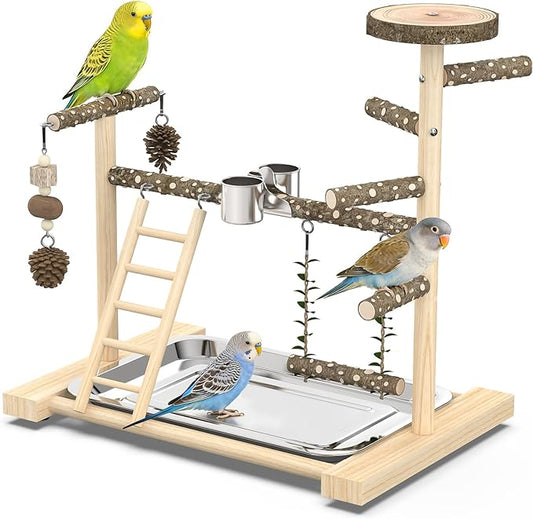 Bird Playground，Natural Wood Bird Perch Stand Parakeet Playground with Swing, Ladder & Feeder Cups，Birds Play Stand for Cockatiel Parakeet Lovebirds Conure
