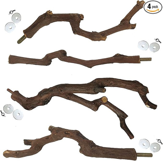 kathson Natural Parrot Perch Bird Stand Pole Wild Grape Stick Paw Grinding Fork Parakeet Climbing Standing Branches Toy Chewable Cage Accessories for Small Budgies Cockatiels Lovebirds 4PCS