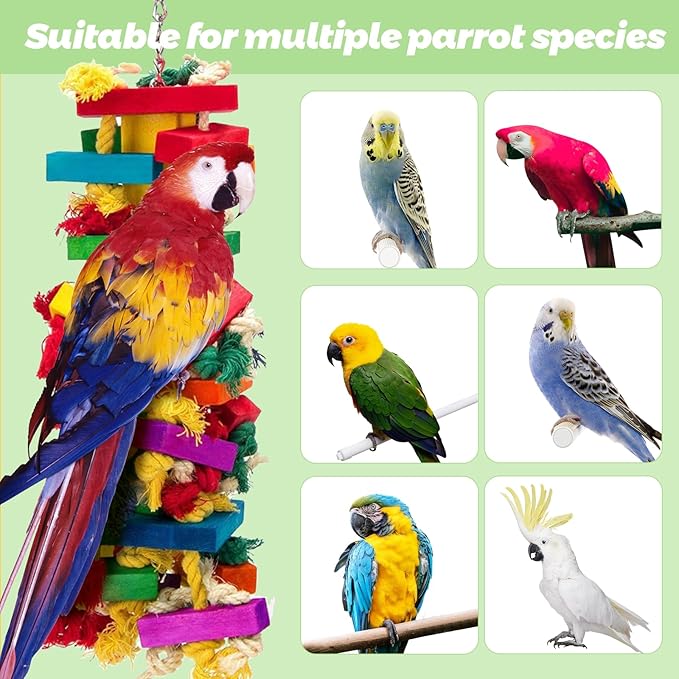 Parrot Toys for Large Birds, Natural Wood Multicolor Durable Chew Toys for Macaws, African Grey & Amazon Parrots, Ideal Pet Gift