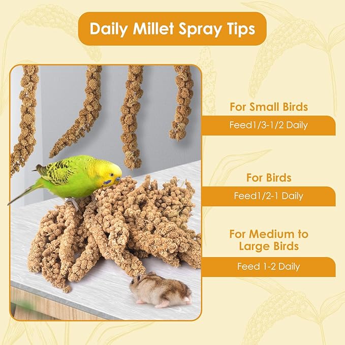 KATUMO 1.1LB Spray Millet Treat for Birds, Natual Sun-Dried Bird Millet Parrot Food for Parakeet Budgie Cockatiel Finches Lovebird Conure Parrots Hamster