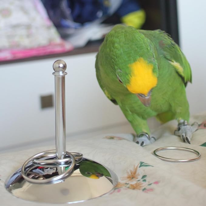 Fosrion Stainless Steel Parrot Ring Toss Toy, Interactive Training & Enrichment Toy for Parrots – Bite-Proof, Anxiety Relief, Exercise Fun for All Kinds of Parrot (Medium)