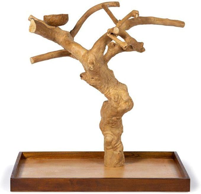Coffeawood Tree Mini Table Top (Large)